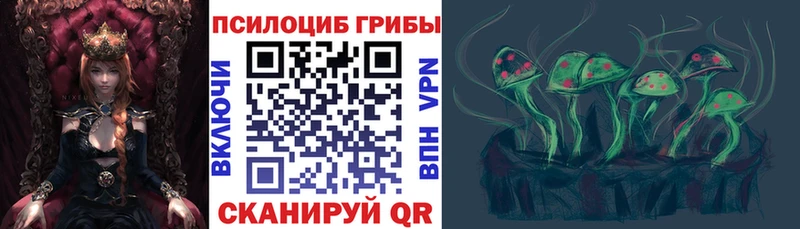купить наркотики сайты  Геленджик  Галлюциногенные грибы Psilocybine cubensis 
