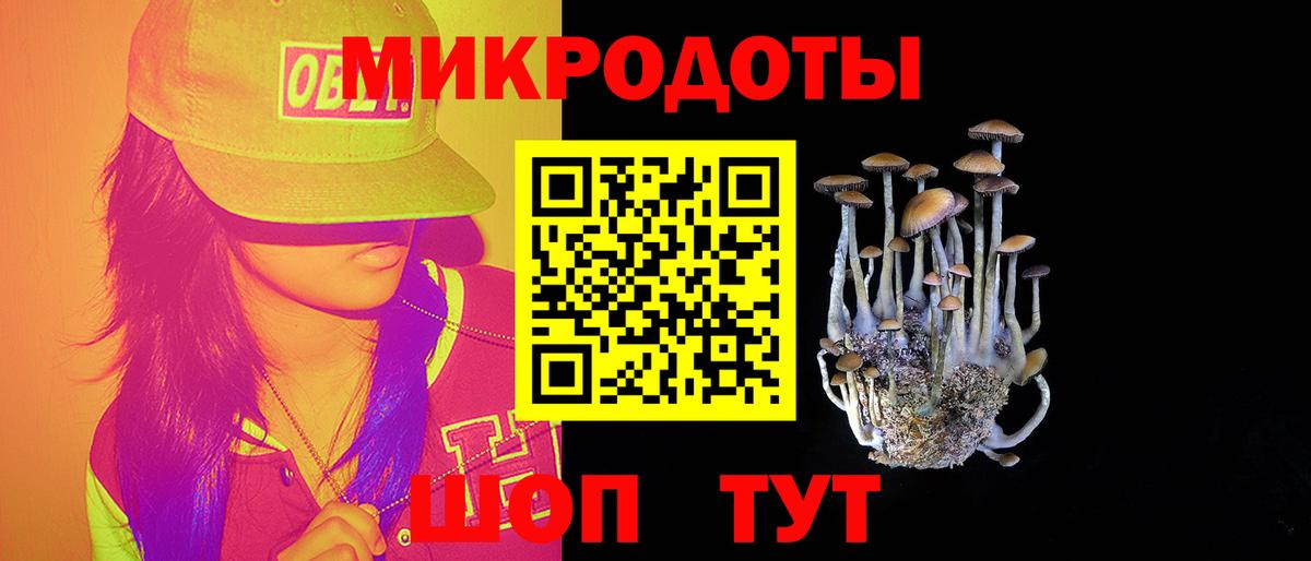 Галлюциногенные грибы прущие грибы Геленджик