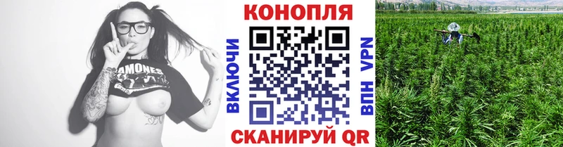 как найти закладки  Геленджик  Шишки марихуана Ganja 